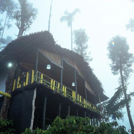 The Mountain Tree Home Wayanad Exterior foto