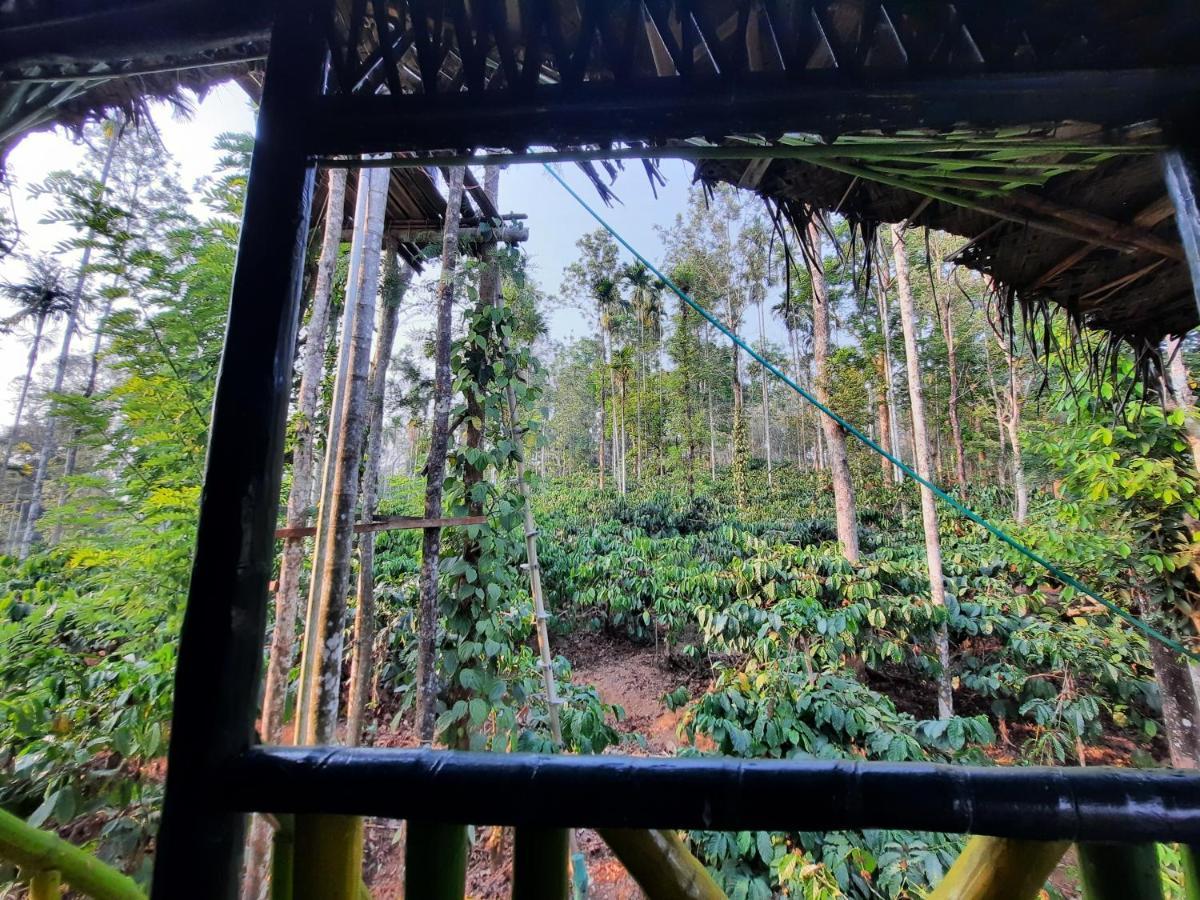 The Mountain Tree Home Wayanad Exterior foto