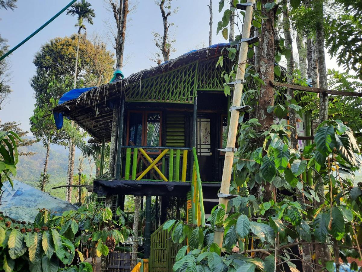 The Mountain Tree Home Wayanad Exterior foto