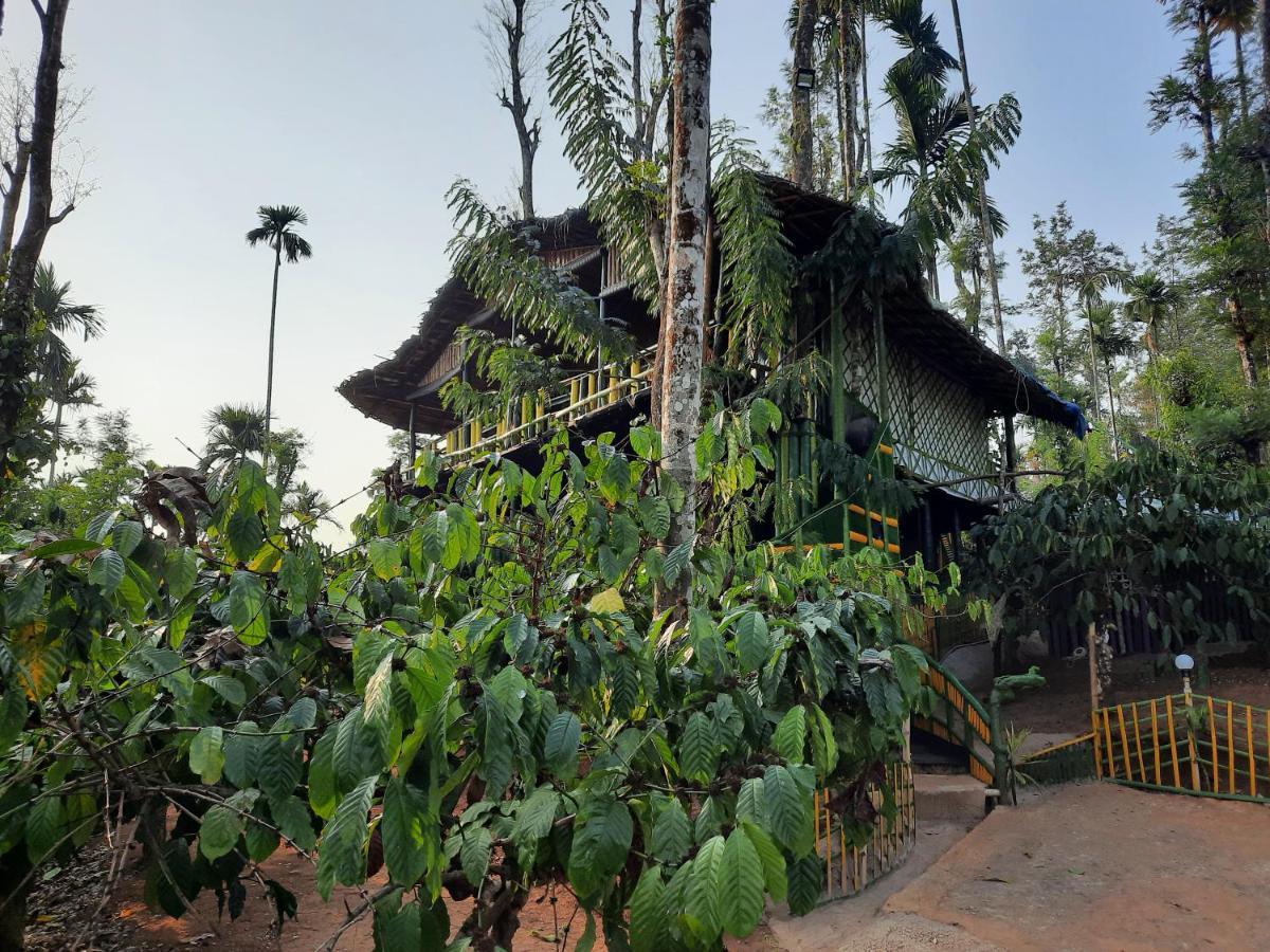 The Mountain Tree Home Wayanad Exterior foto