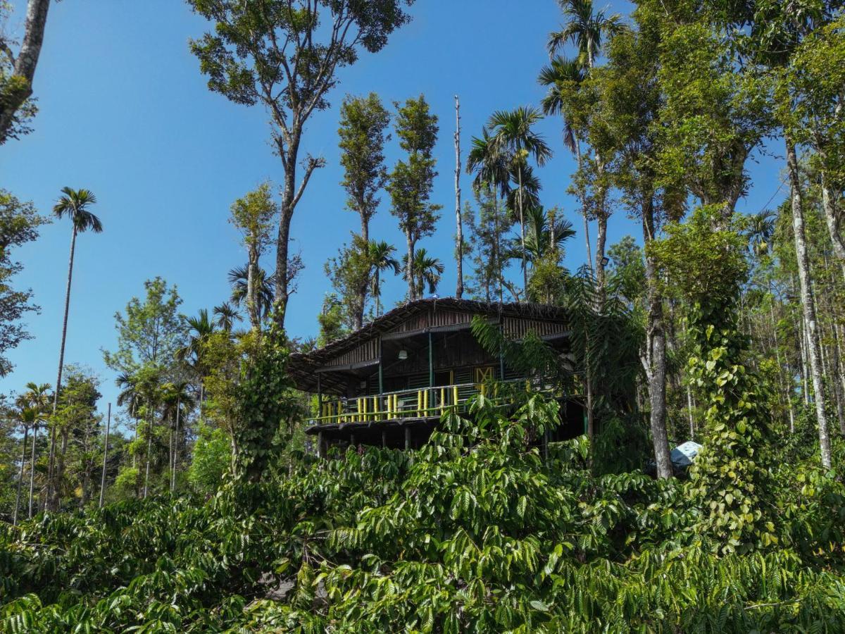 The Mountain Tree Home Wayanad Exterior foto