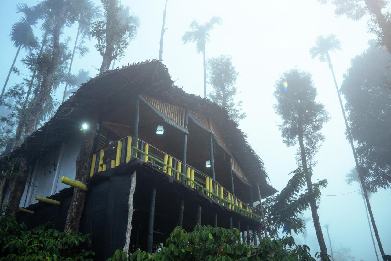 The Mountain Tree Home Wayanad Exterior foto