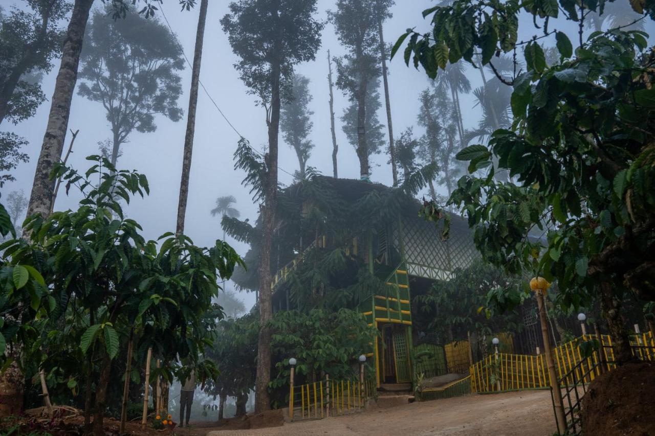 The Mountain Tree Home Wayanad Exterior foto